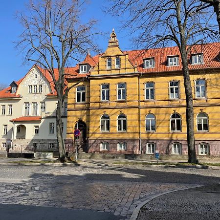 Apartment Zur Wiege Anhalts Ballenstedt Eksteriør billede