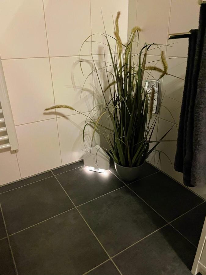 Apartment Zur Wiege Anhalts Ballenstedt Eksteriør billede