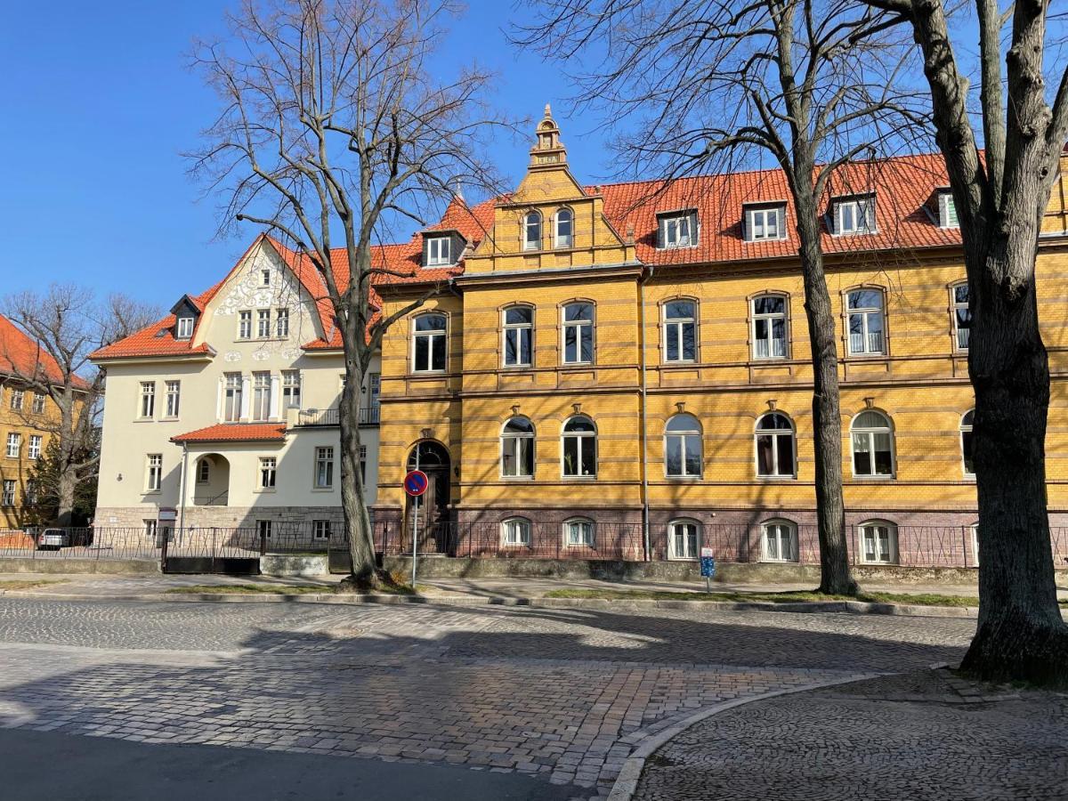 Apartment Zur Wiege Anhalts Ballenstedt Eksteriør billede